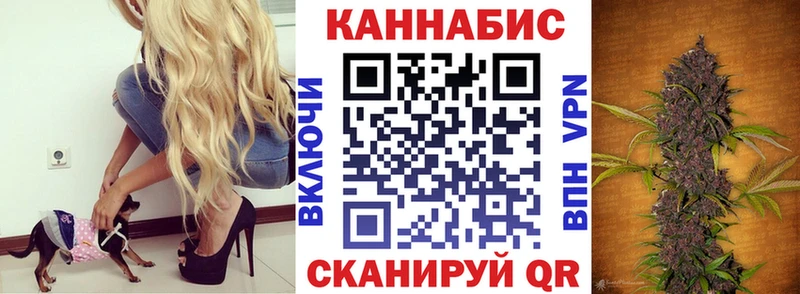 Купить где Данков Конопля марихуана